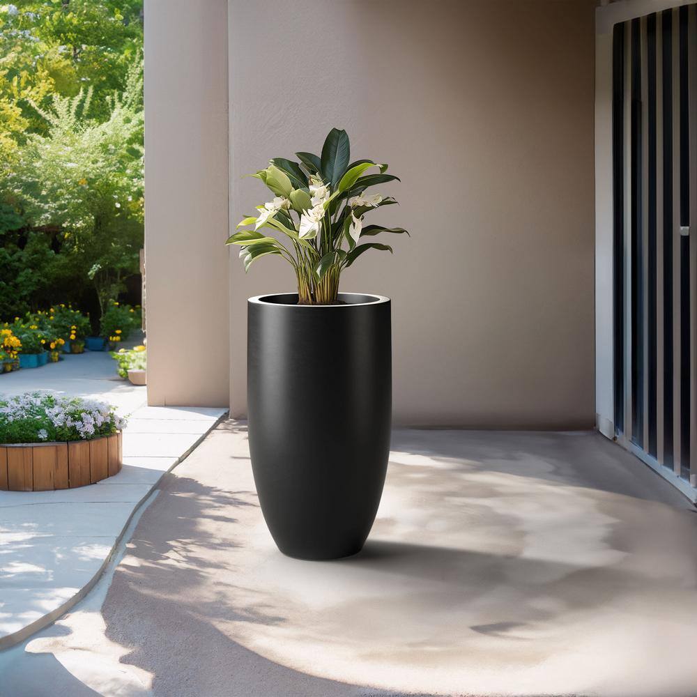 indoor fern planter Mini Boston Fern Plant (6cm Pot) main image 1