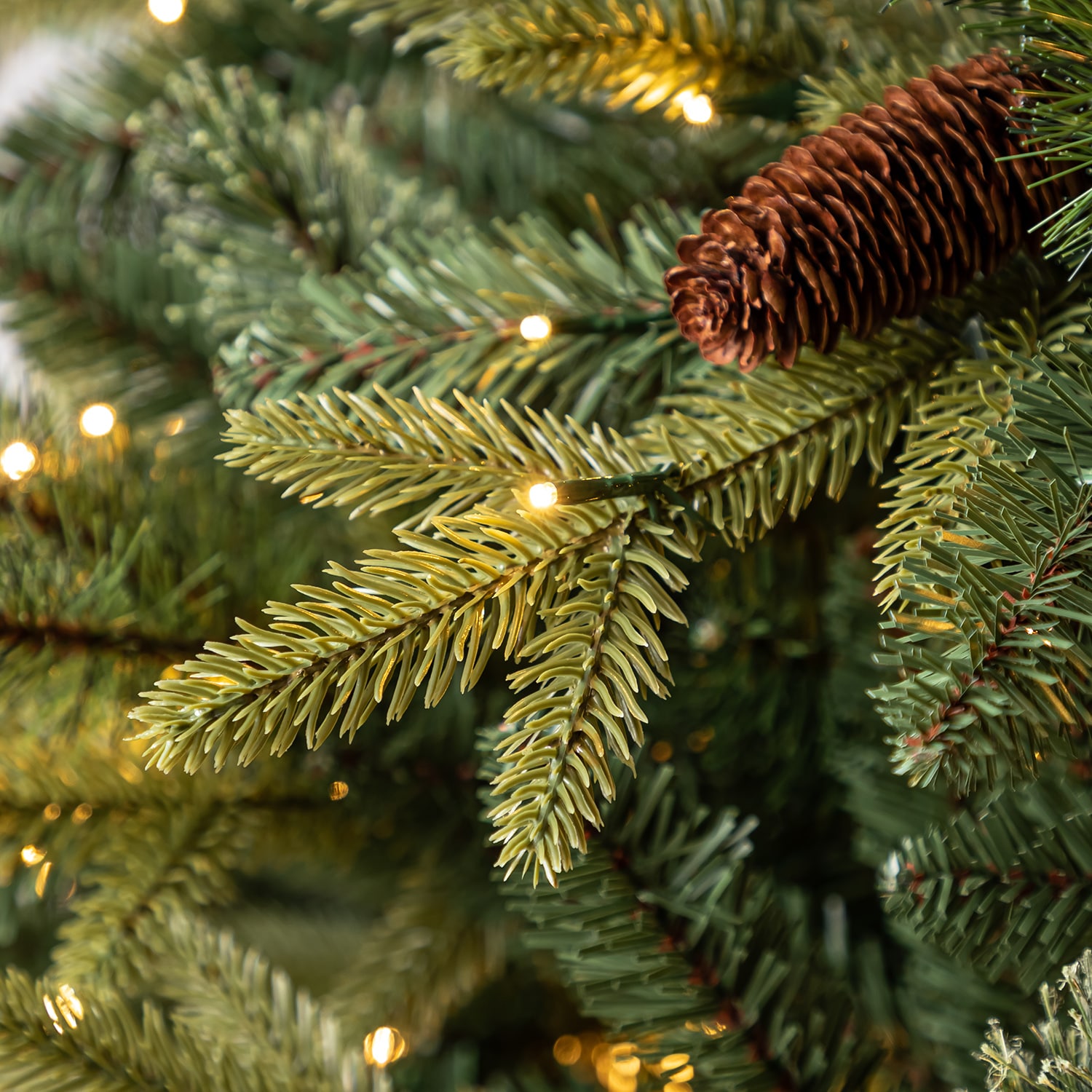 Hayden Pine Christmas Tree